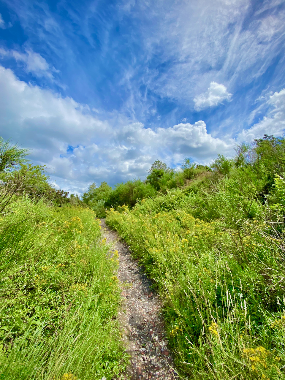 Steile beklimming in het Nationaal Park Hoge Kempen in Eisden (Maasmechelen)