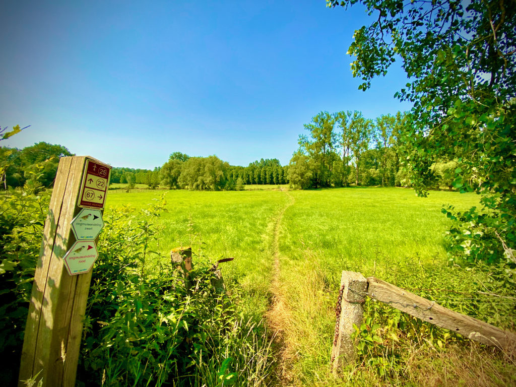 De Markvallei op de Ringmuswandeling Rood