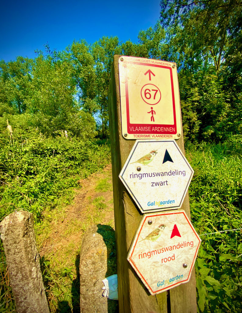 Bewegwijzering op de Ringmuswandeling Rood