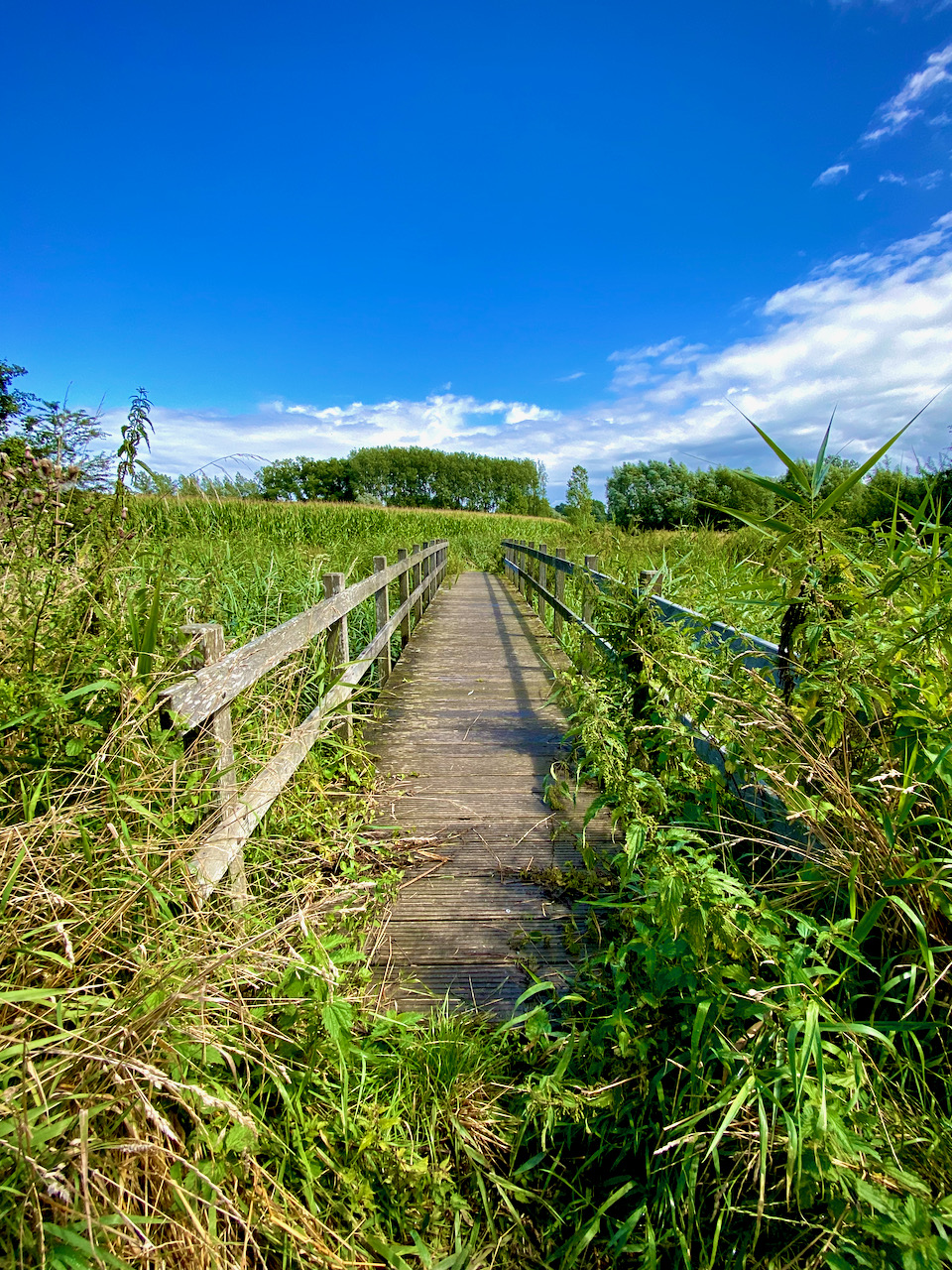 Brugje op het Natuurleerpad in Zingem