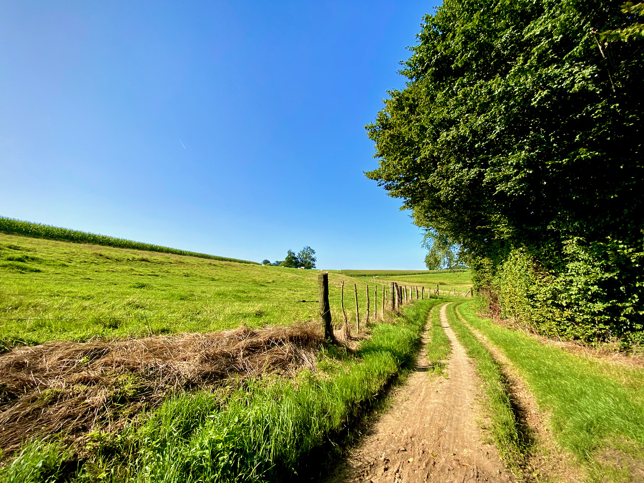 Veldweg in Maarkedal-Schorisse op de Wandelwalhalla challenge wandelroute