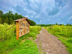 Insectenhotel op de Kruiskapel wandelroute in Eksaarde