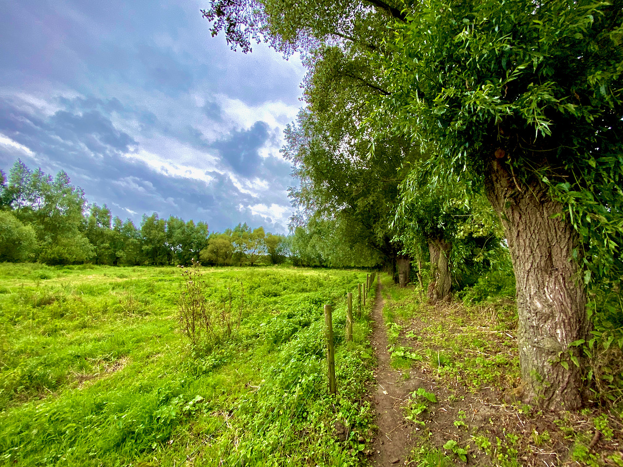 Pad op de Kruiskapel wandelroute in Eksaarde