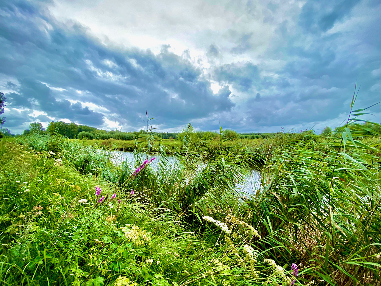 Moervaart op de Kruiskapel wandelroute in Eksaarde