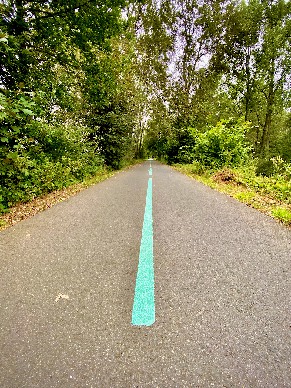 Het oude Spoorwegpad in Eksaarde 