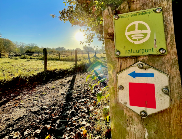 Wegwijzer in natuurgebied Honegem