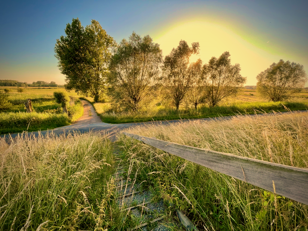Een streepje Streuvels in Berlare: de Waterhoek - wndln